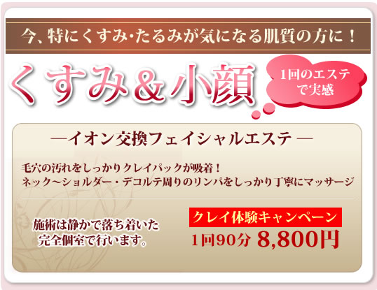 イオン交換フェイシャルエステ